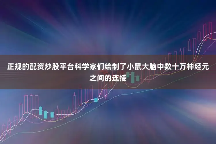 正规的配资炒股平台科学家们绘制了小鼠大脑中数十万神经元之间的连接
