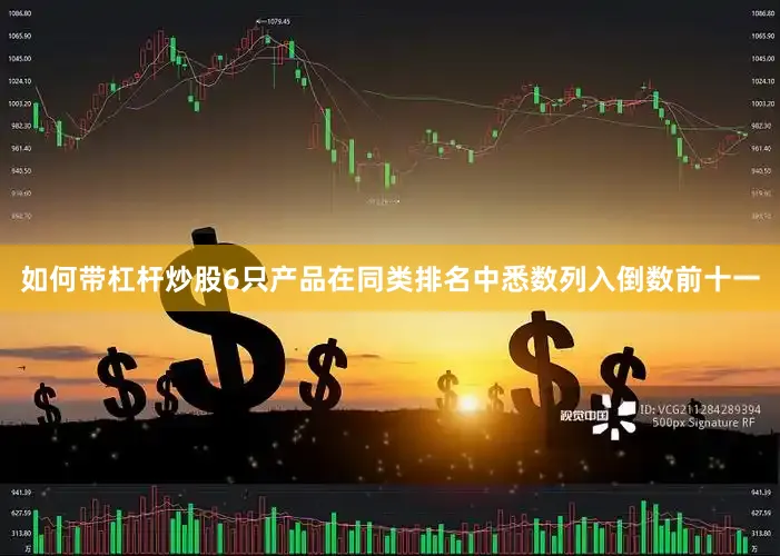 如何带杠杆炒股6只产品在同类排名中悉数列入倒数前十一